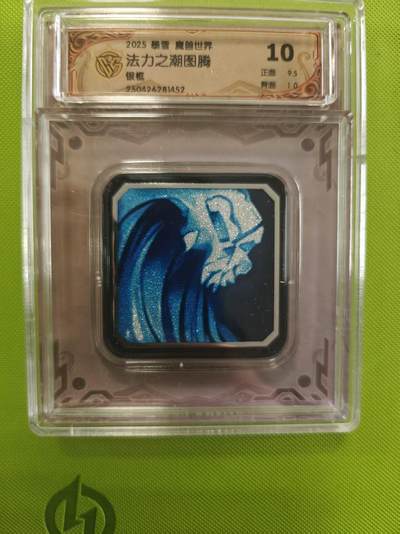 寸草不生拍卖第十六期（持续收拍 好货等你来） - 2025 暴雪 魔兽世开法力之潮图腾