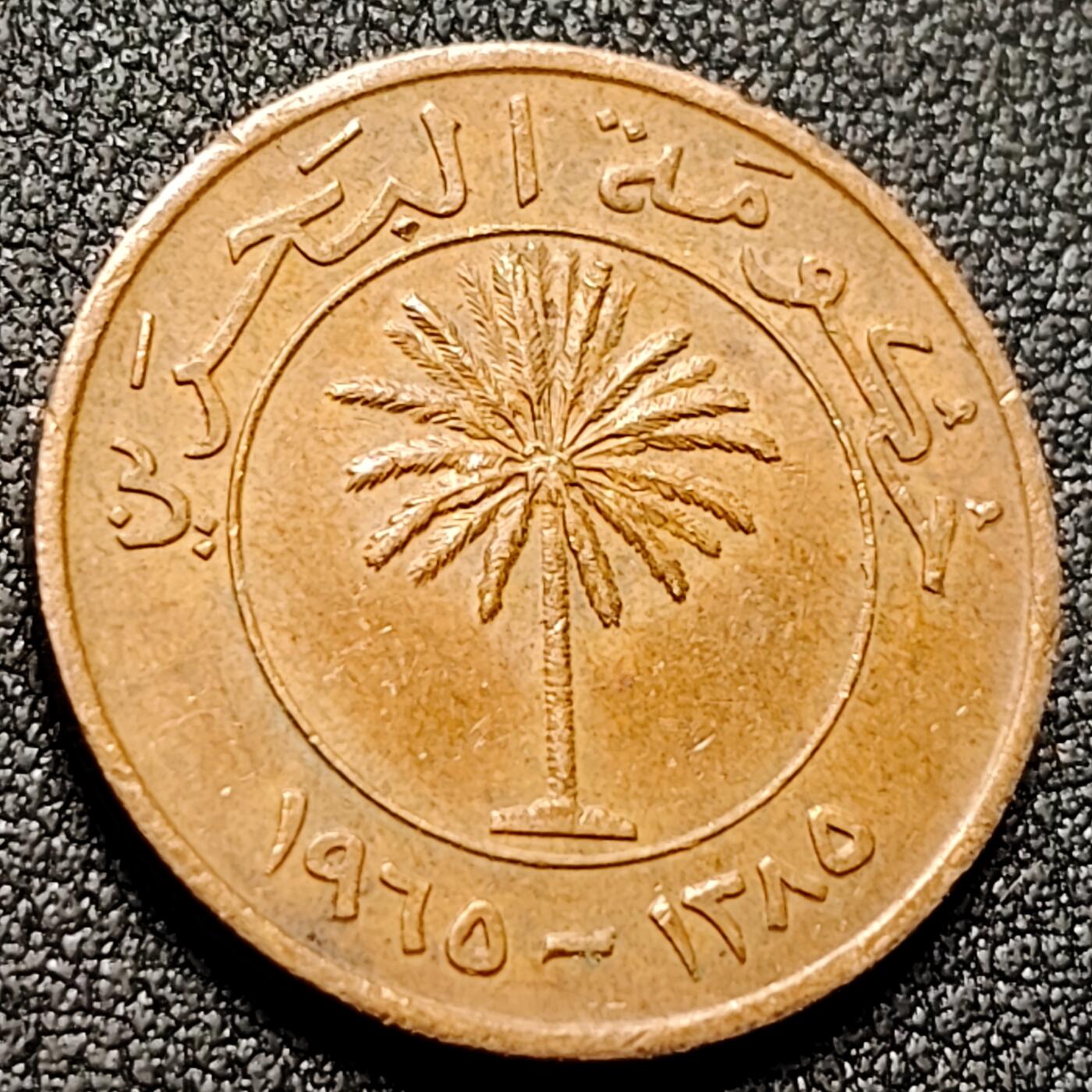 泉币菌-第149场-精品福利场 。