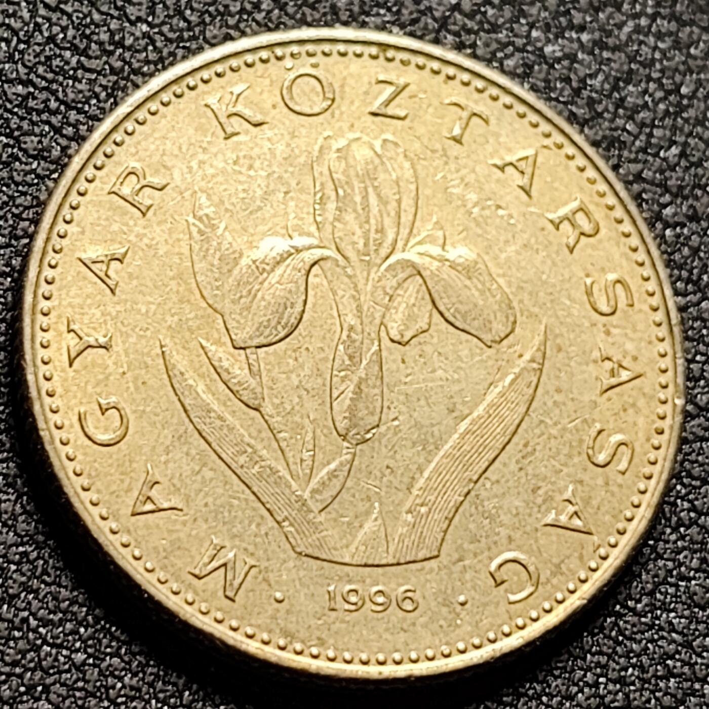 泉币菌-第148场-精品福利场 。