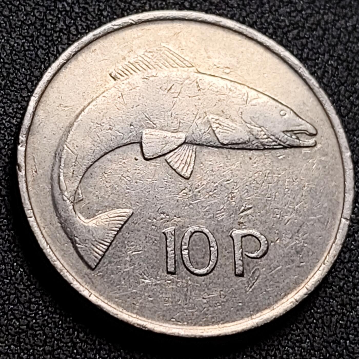 泉币菌-第148场-精品福利场 。