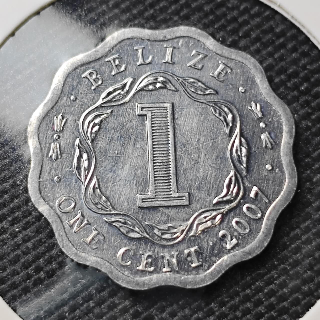 KK钱币收藏小铺 第382期  2月预留时间 周末发货 2007英属伯利兹1分 