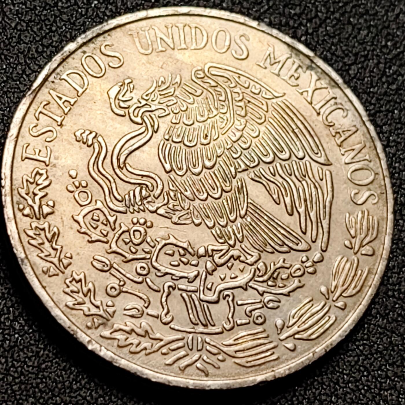 泉币菌-第148场-精品福利场 。