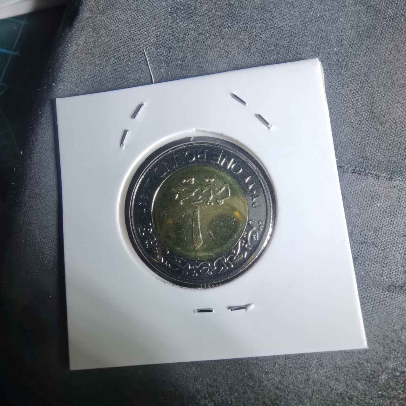 沼泽如烟--第936场 埃及