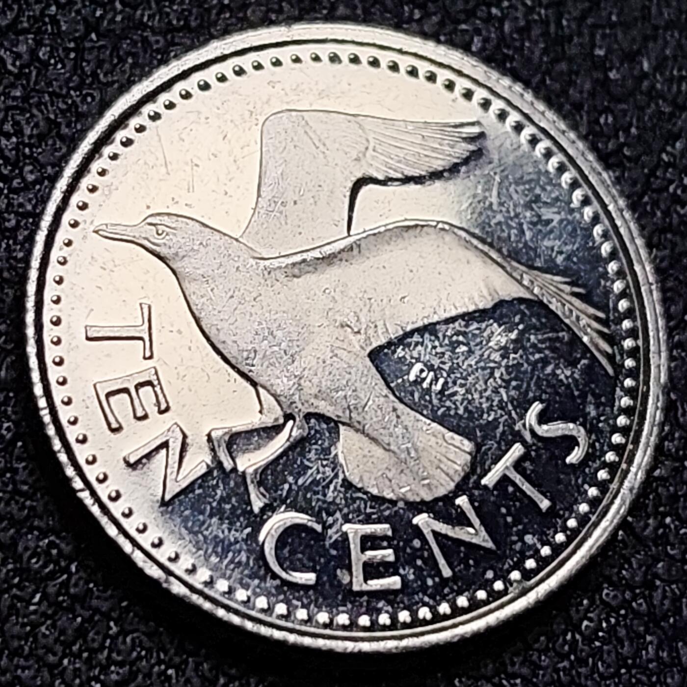 泉币菌-第149场-精品福利场 。