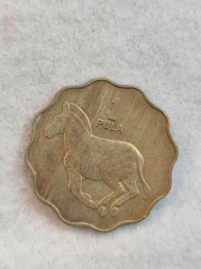 G&W世界散币，银币处理专场（第39场） - 博茨瓦纳1976年1普拉