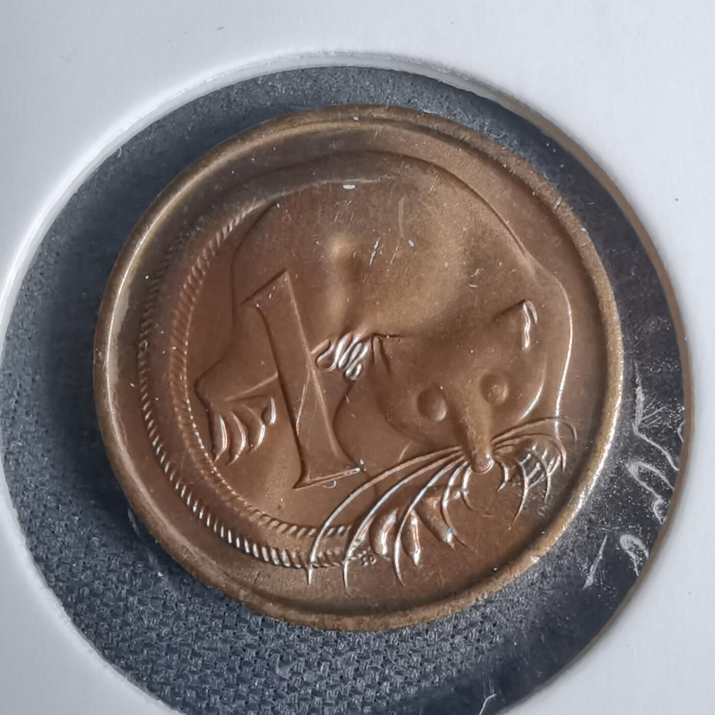 沼泽如烟--第937场