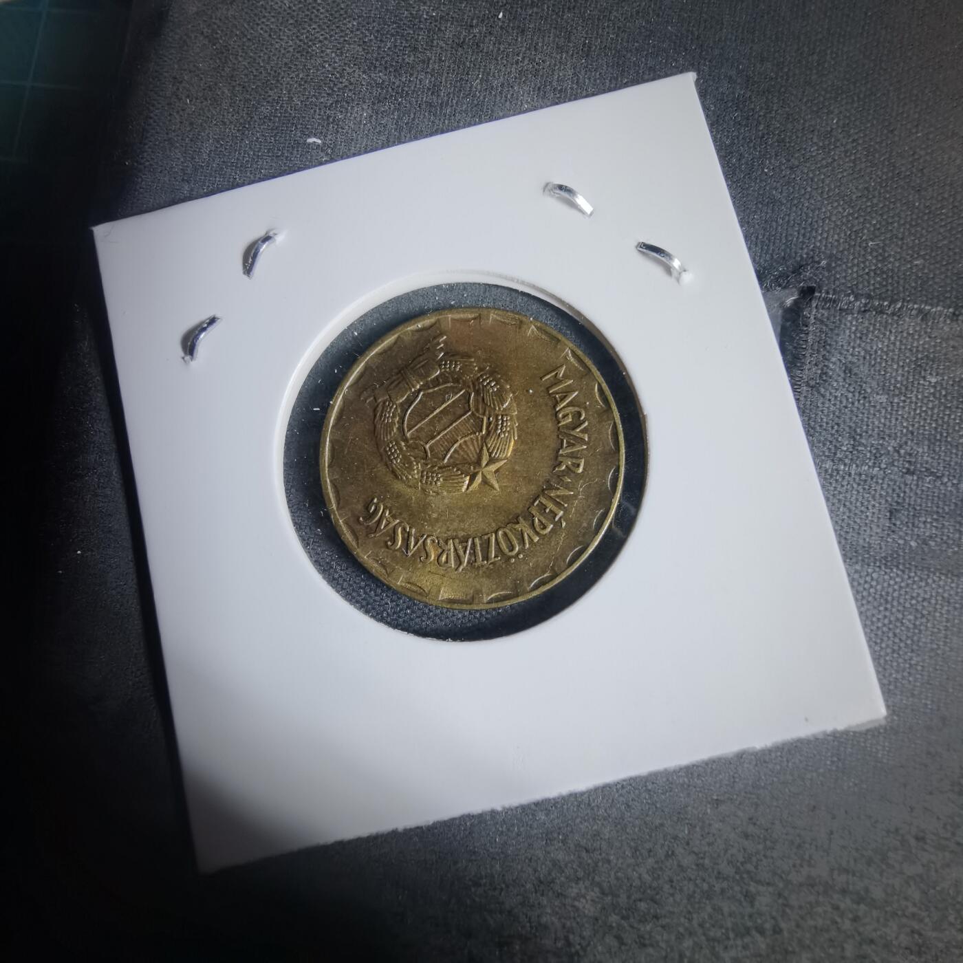 沼泽如烟--第937场