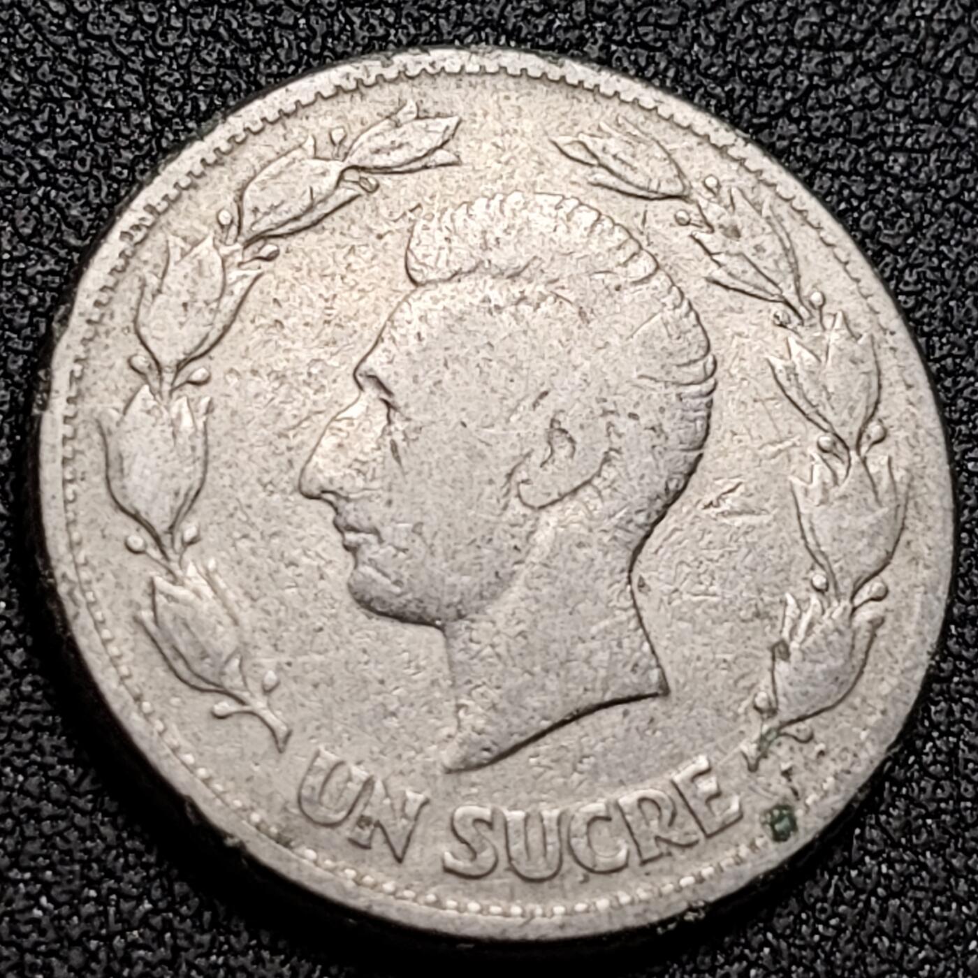 泉币菌-第148场-精品福利场 。