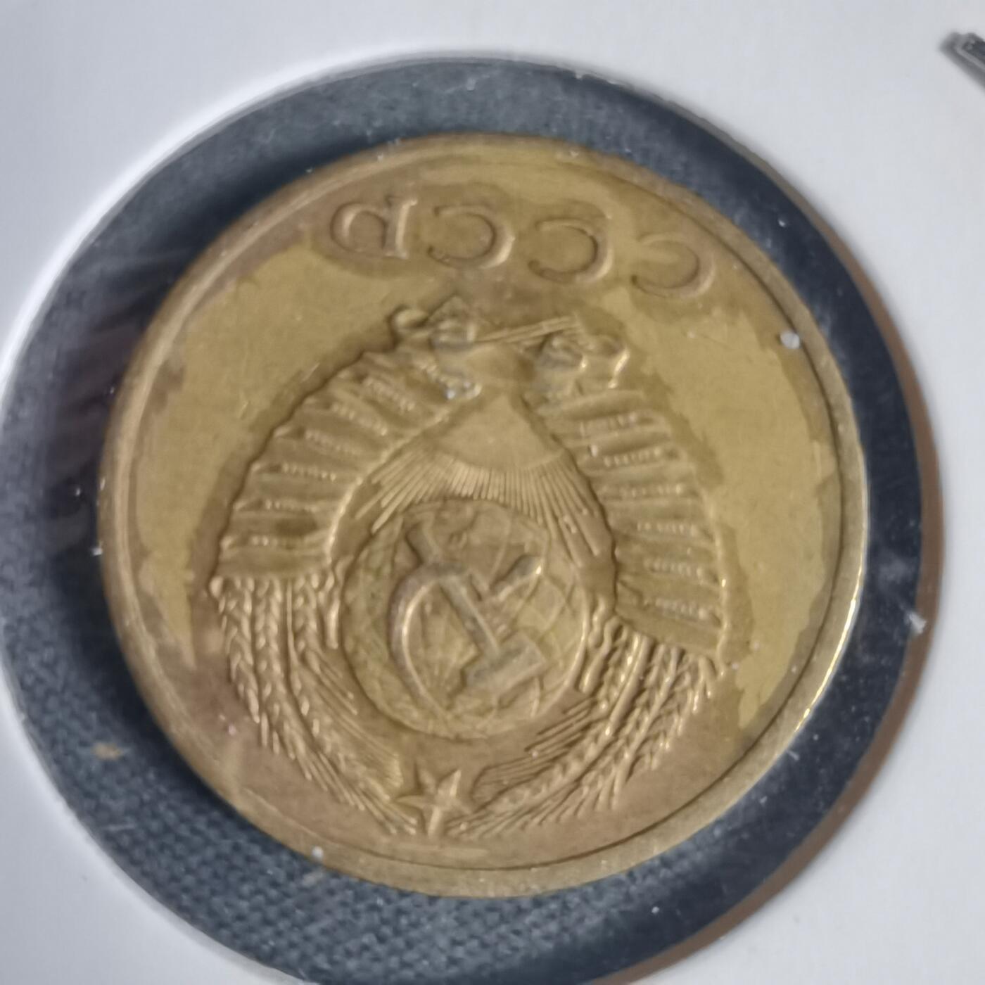 沼泽如烟--第937场