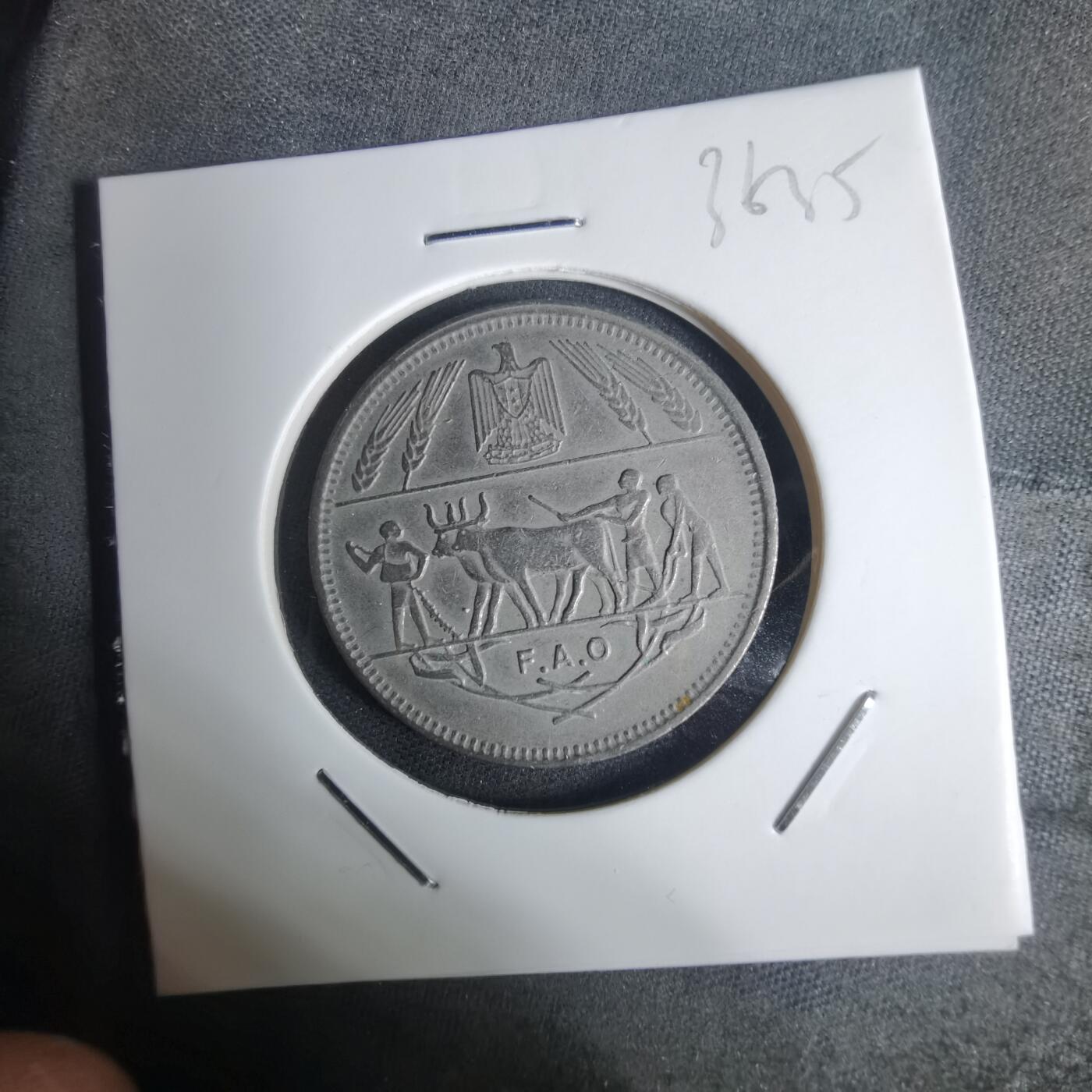 沼泽如烟--第936场 埃及纪念币