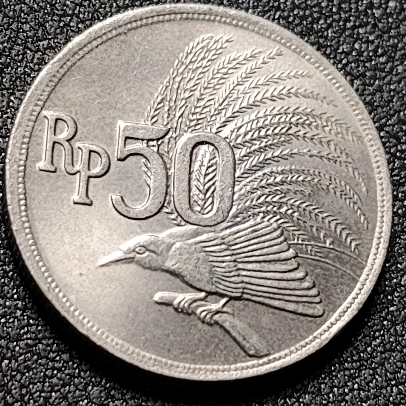 泉币菌-第148场-精品福利场 。