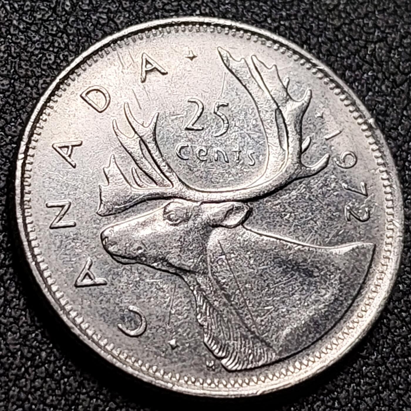 泉币菌-第148场-精品福利场 。