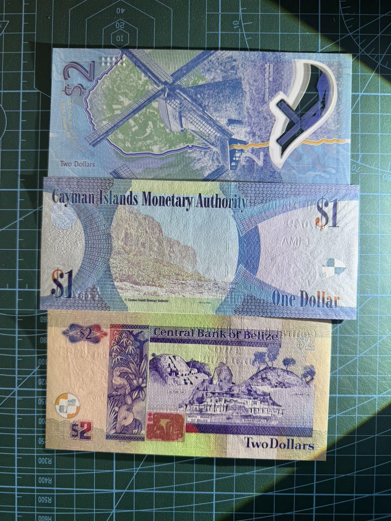 【炜奕收藏】，第五十三期