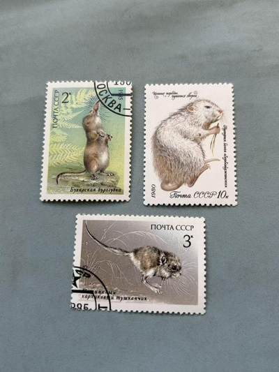 盛世勋华——号角文化勋章邮票专场拍卖第296期 - 苏联本土动动物邮票3张