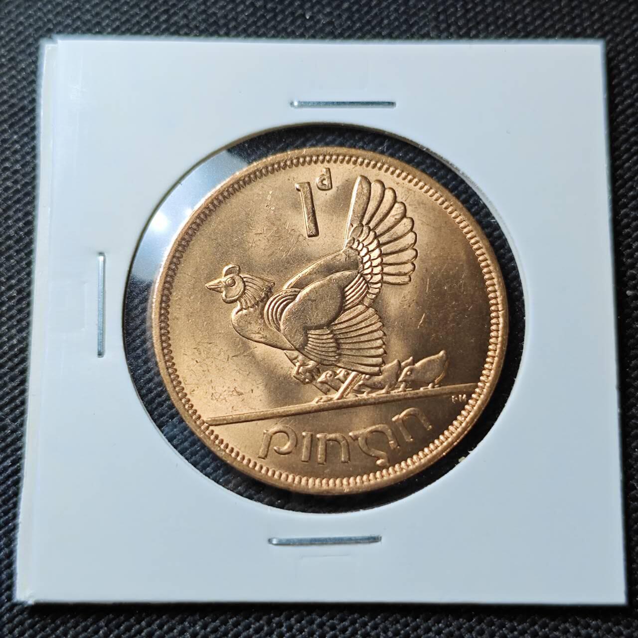 KK钱币收藏小铺 第381期  2月预留时间 周末发货