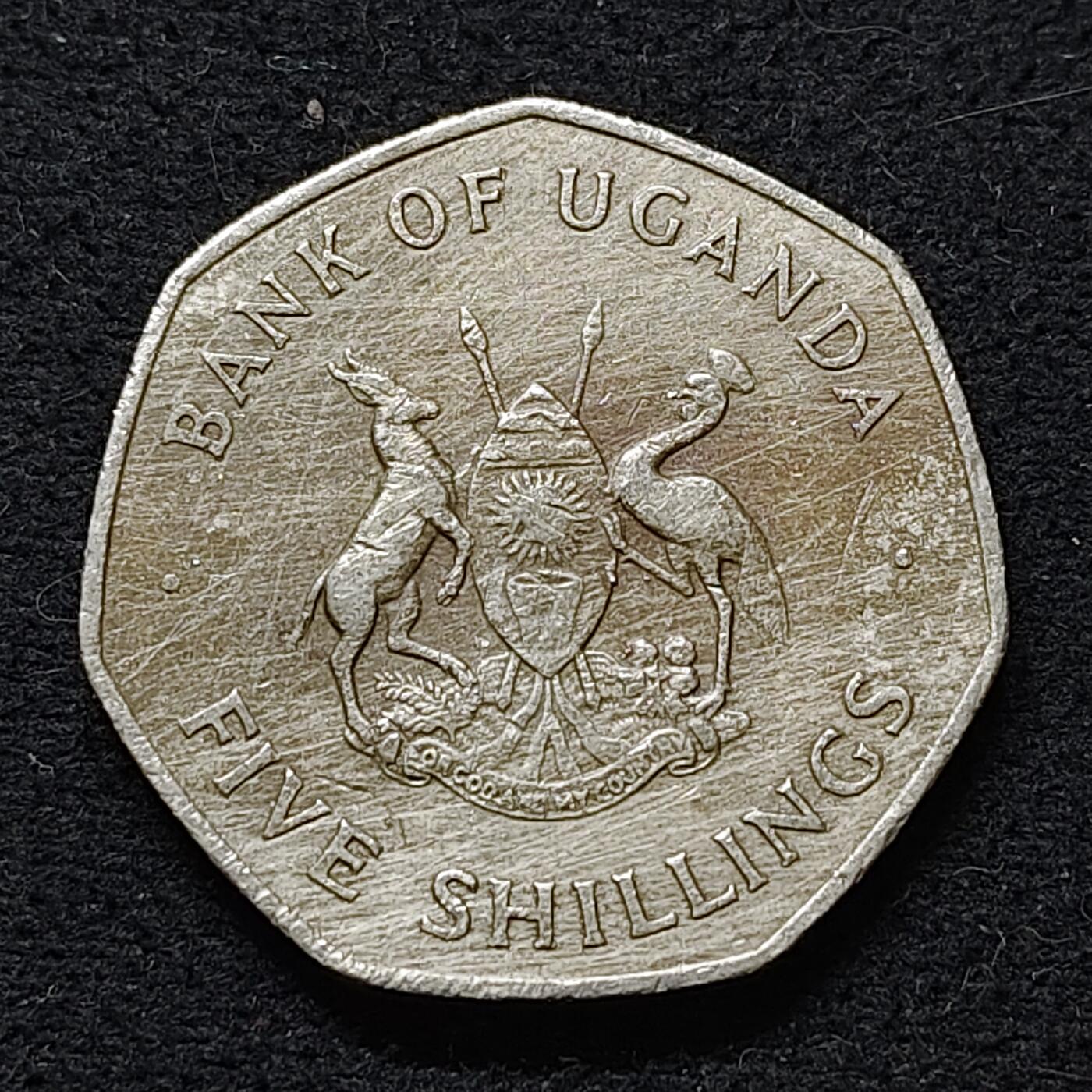 【全场包邮】纯粹捡漏拍486场（免费代拍第23场）