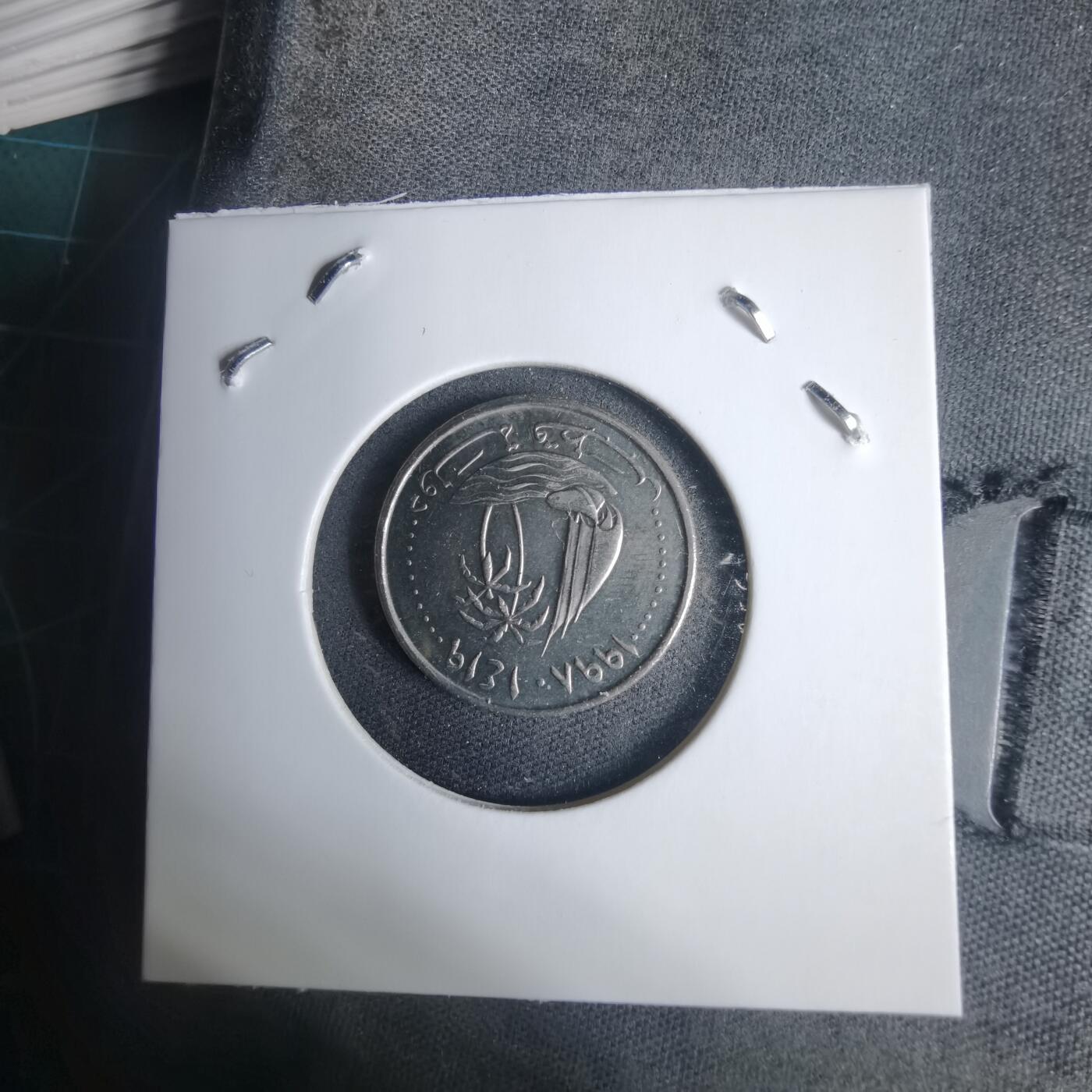 沼泽如烟--第937场 卡塔尔