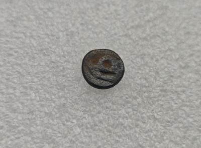 瓶子🏺第221期拍卖会 -  6-8世纪三佛齐王国檀香花图案打制银币