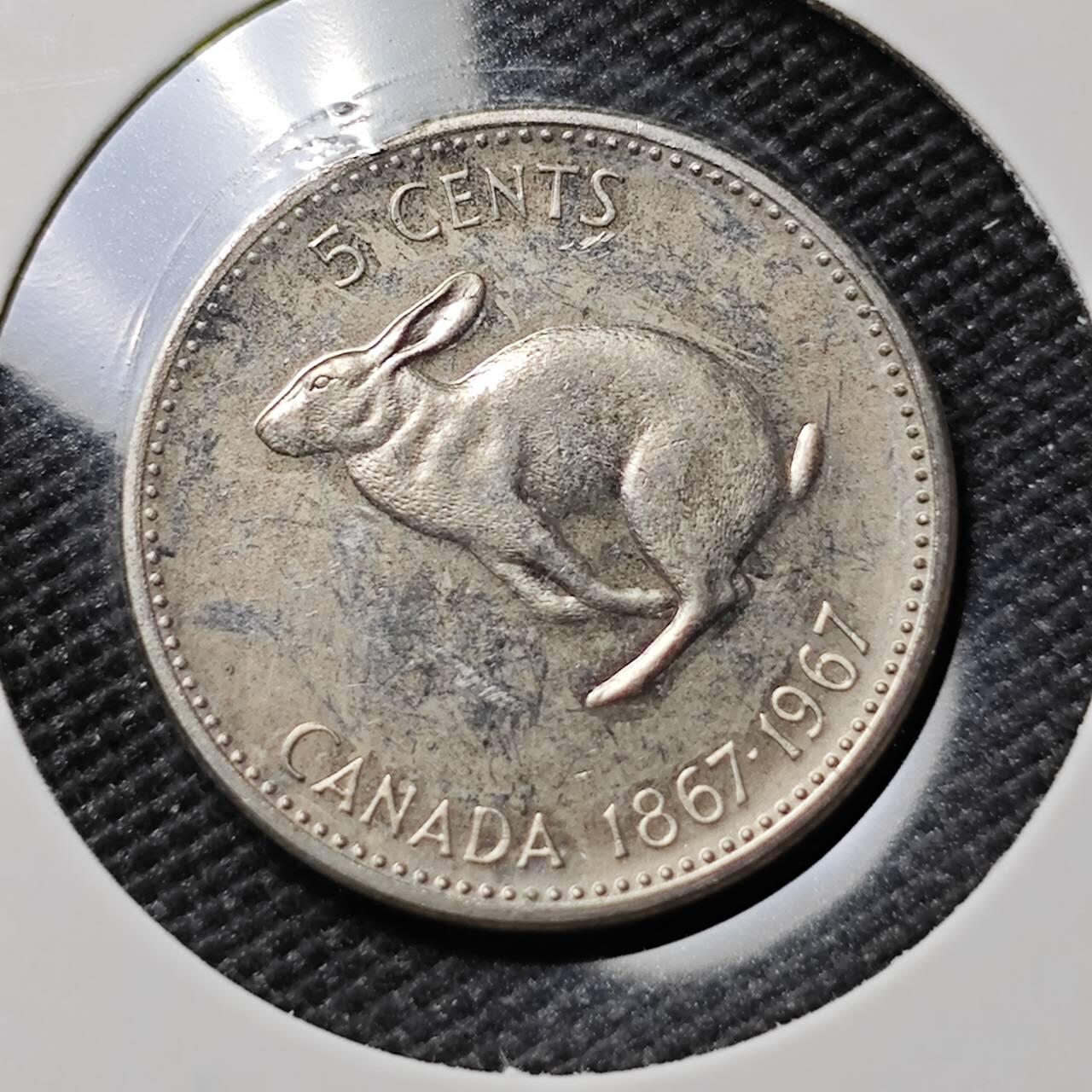 KK钱币收藏小铺 第381期  2月预留时间 周末发货