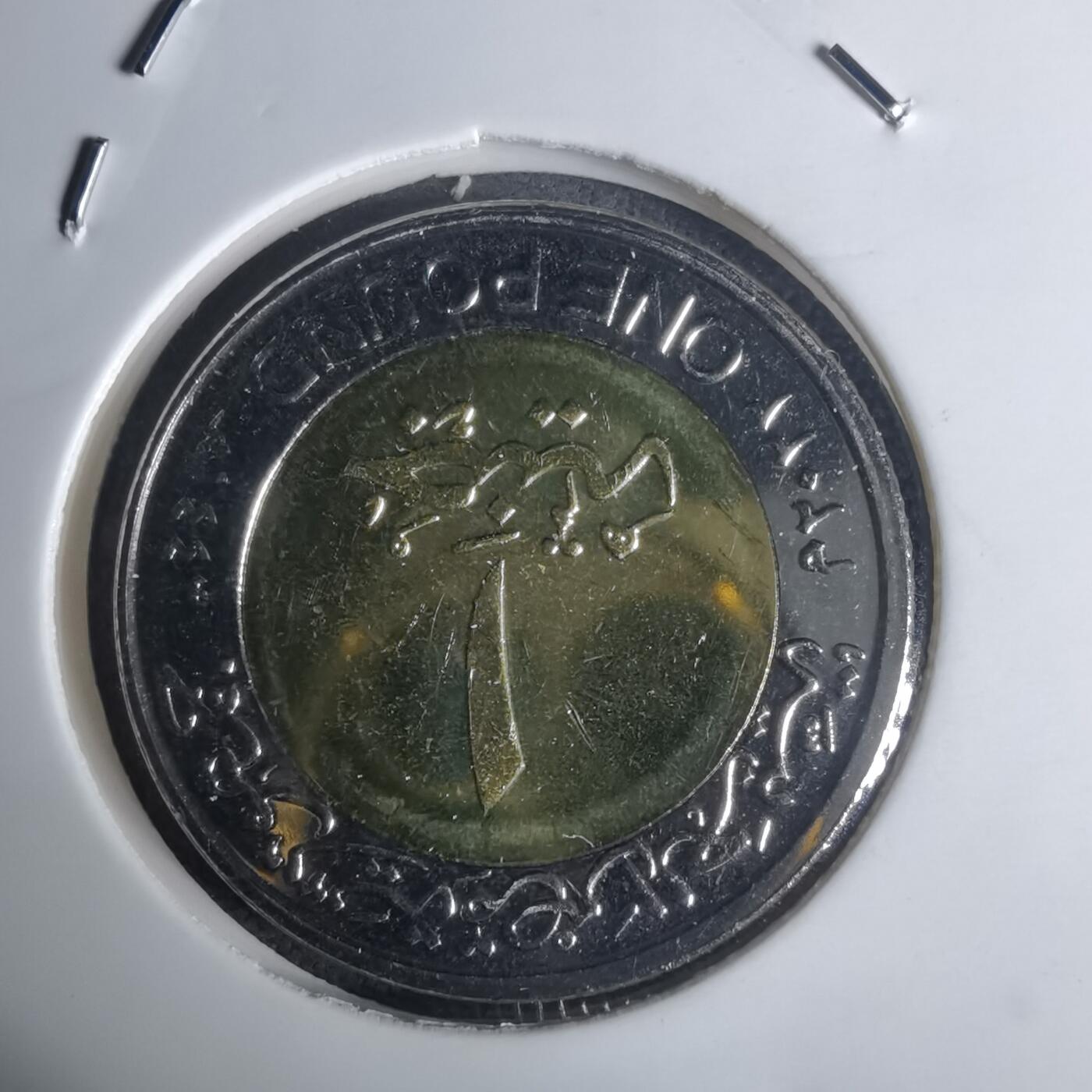 沼泽如烟--第936场 埃及