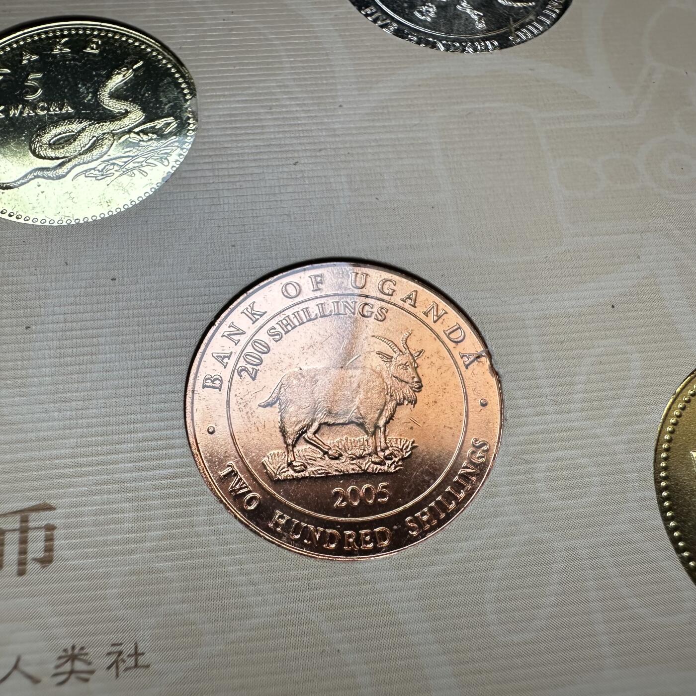 🌹外币初藏🌹🐯2025年第142场  每周二四六晚8️⃣点 接代拍 外国硬币上的十二生肖 均为臆造币