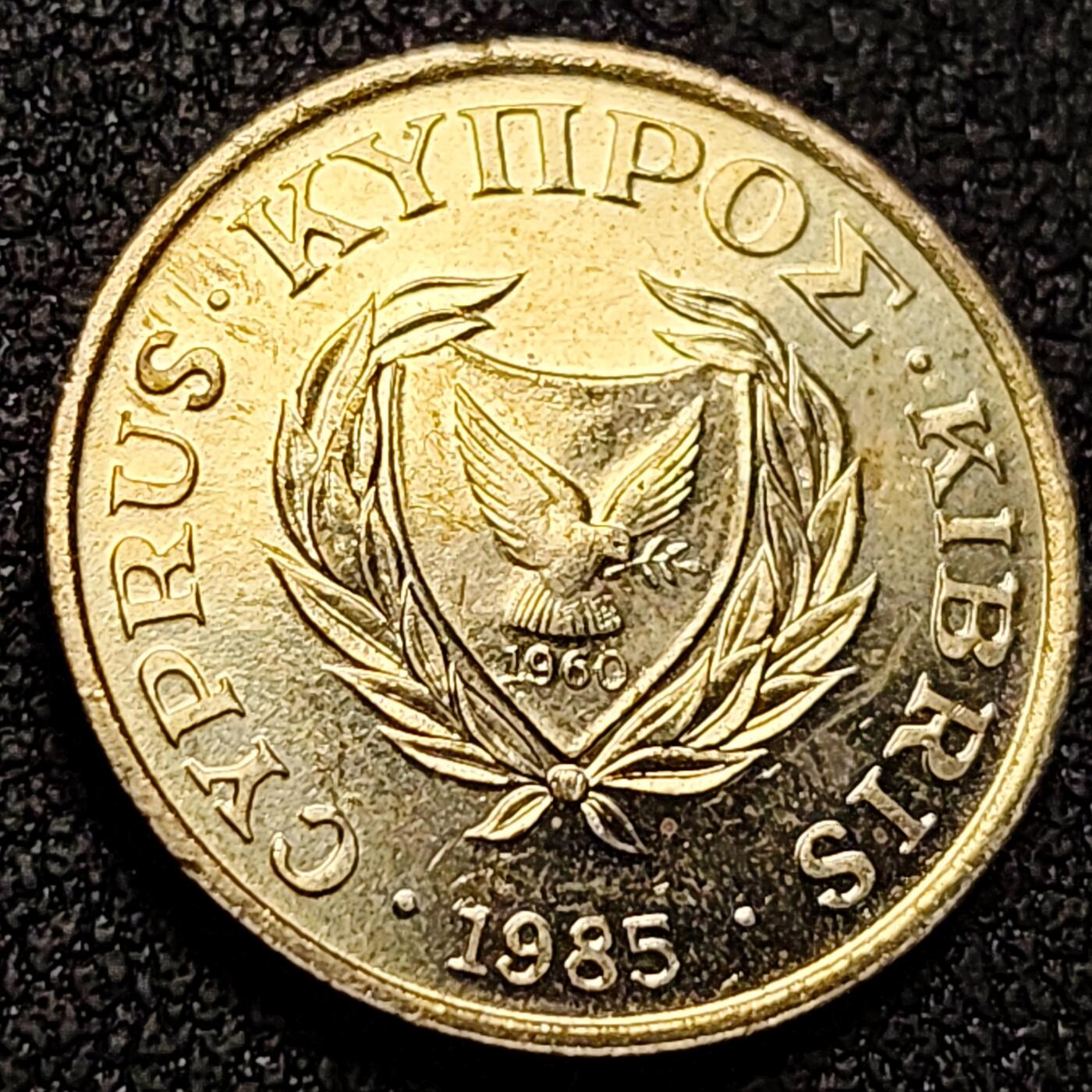 泉币菌-第148场-精品福利场 。