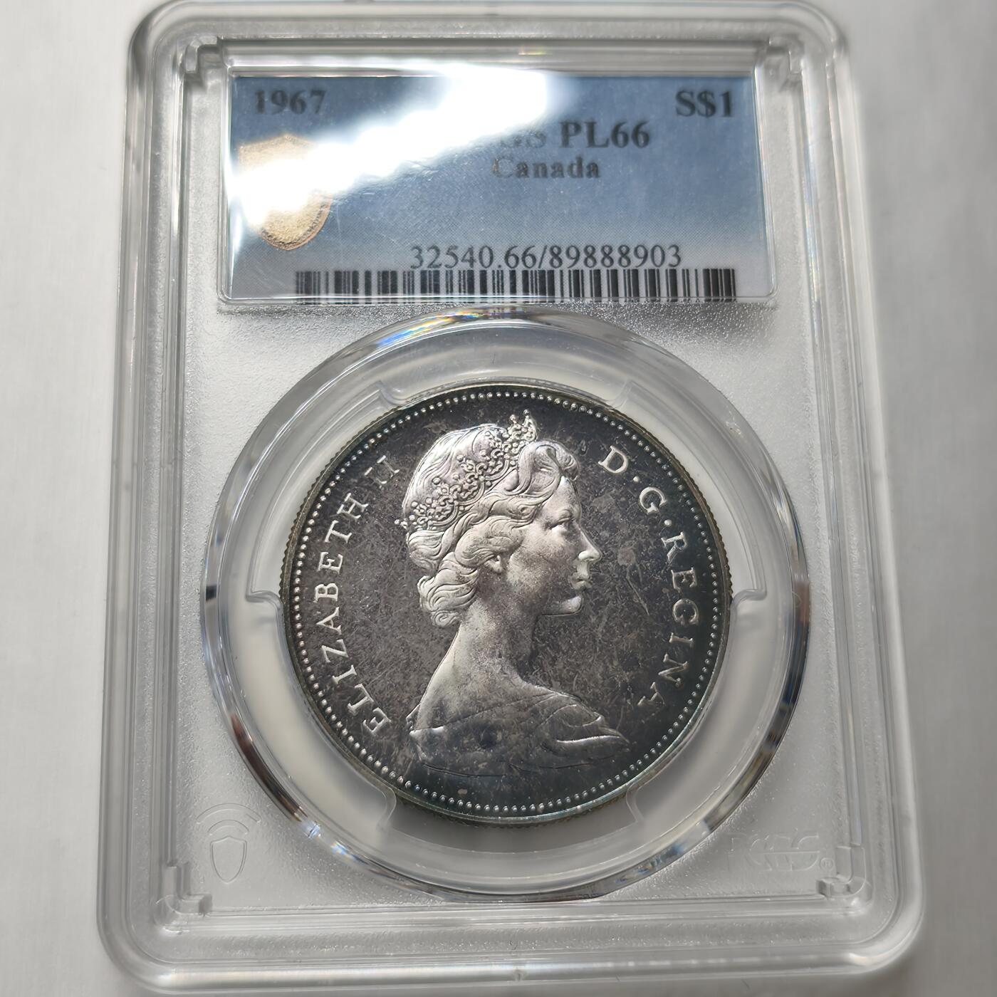 老蟹的宝藏🏴‍☠️ V