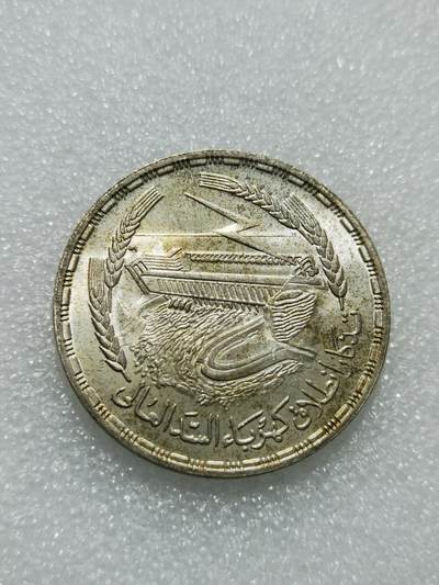 天下钱庄专场欢迎参拍 - 埃及1磅银币