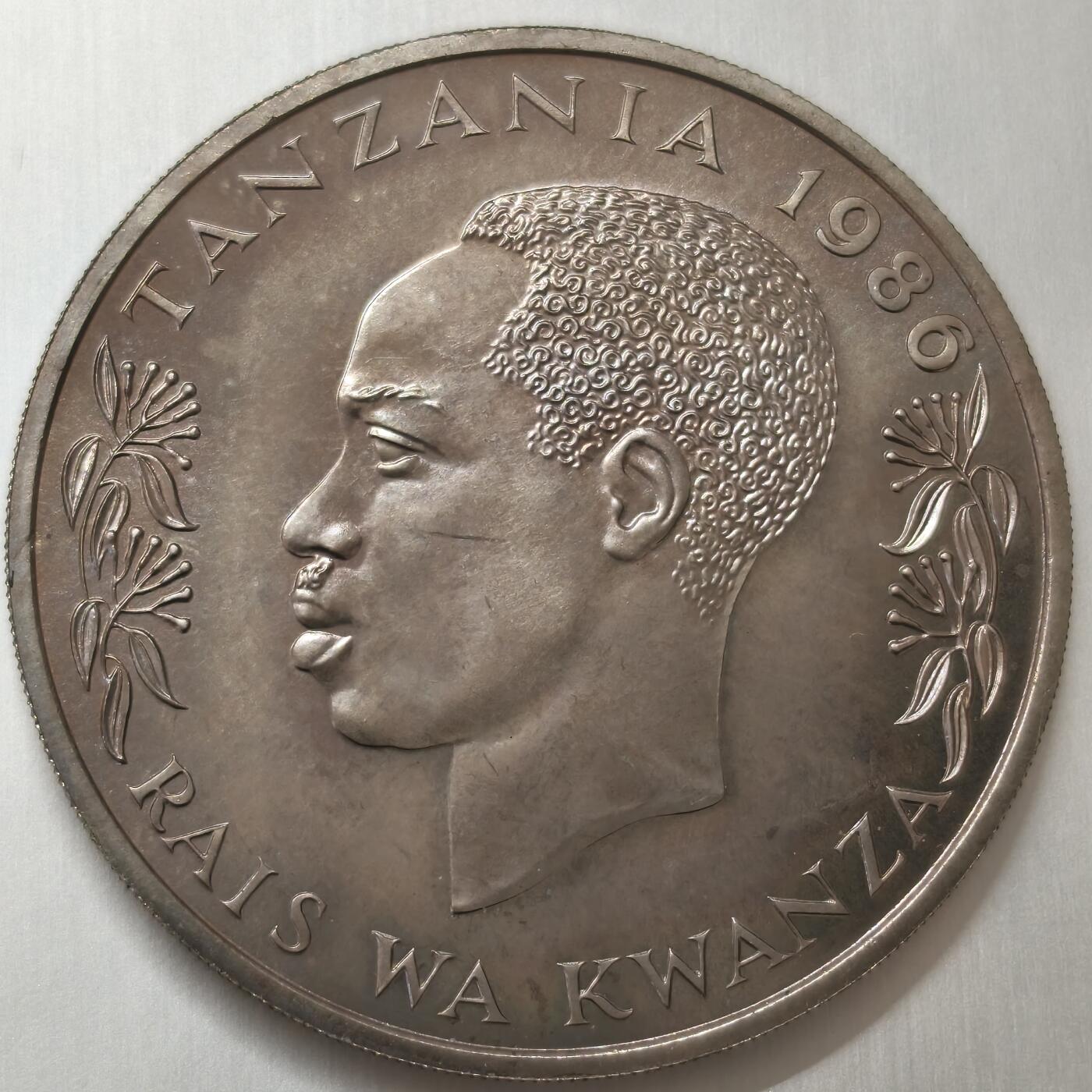 老蟹的宝藏🏴‍☠️ V