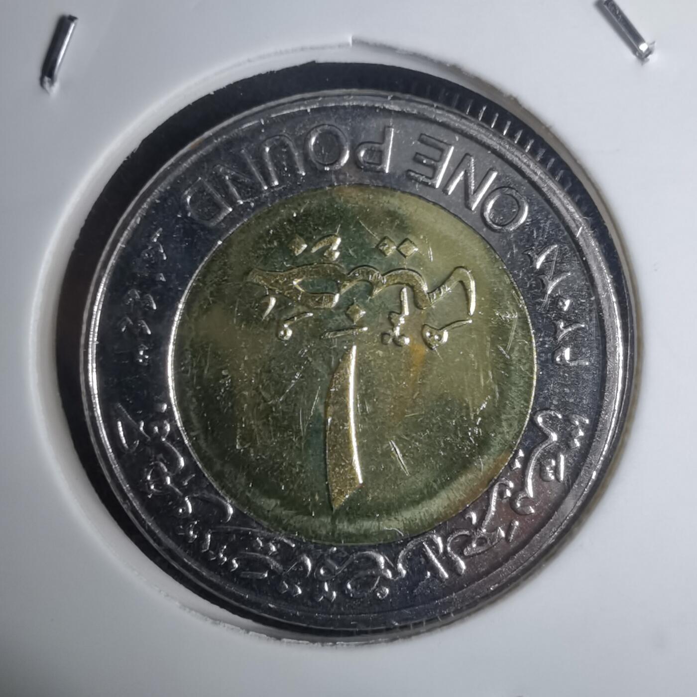 沼泽如烟--第936场 埃及