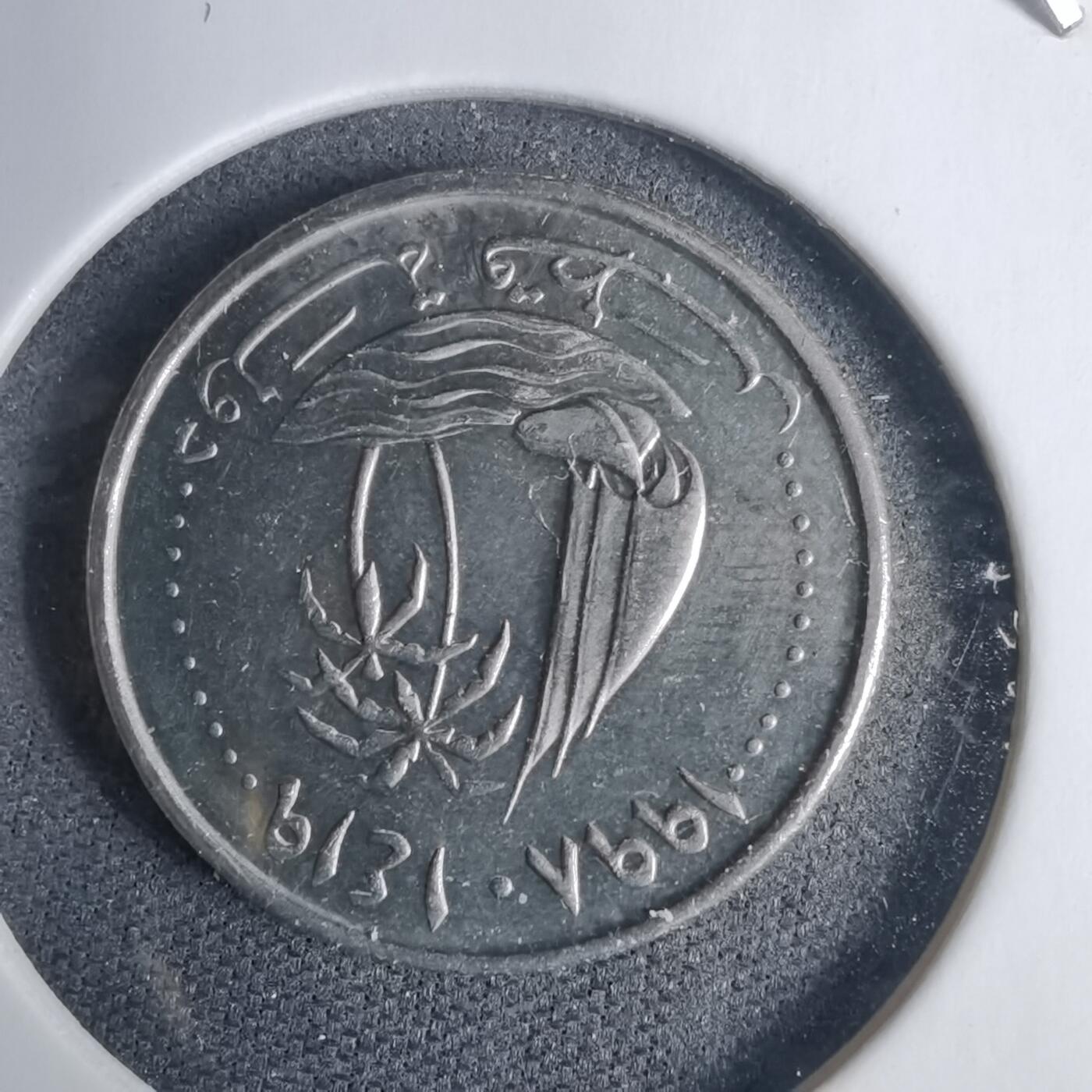 沼泽如烟--第937场 卡塔尔