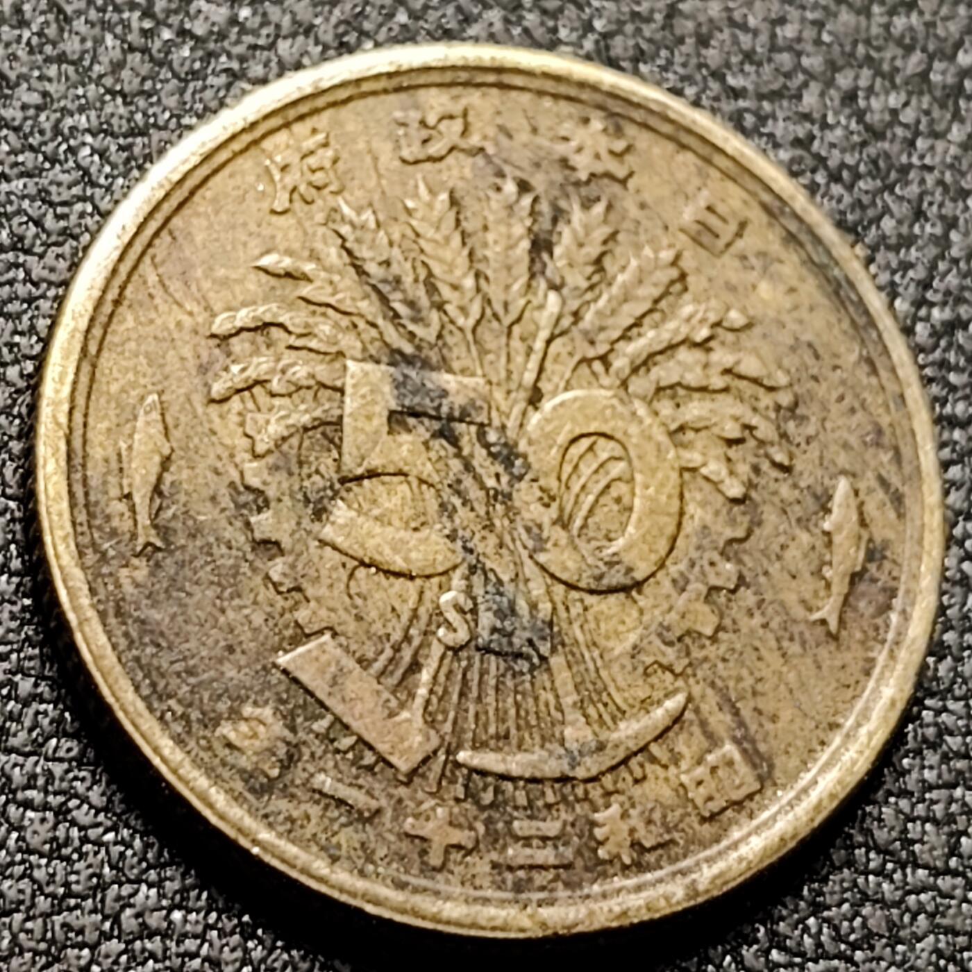 泉币菌-第148场-精品福利场 。