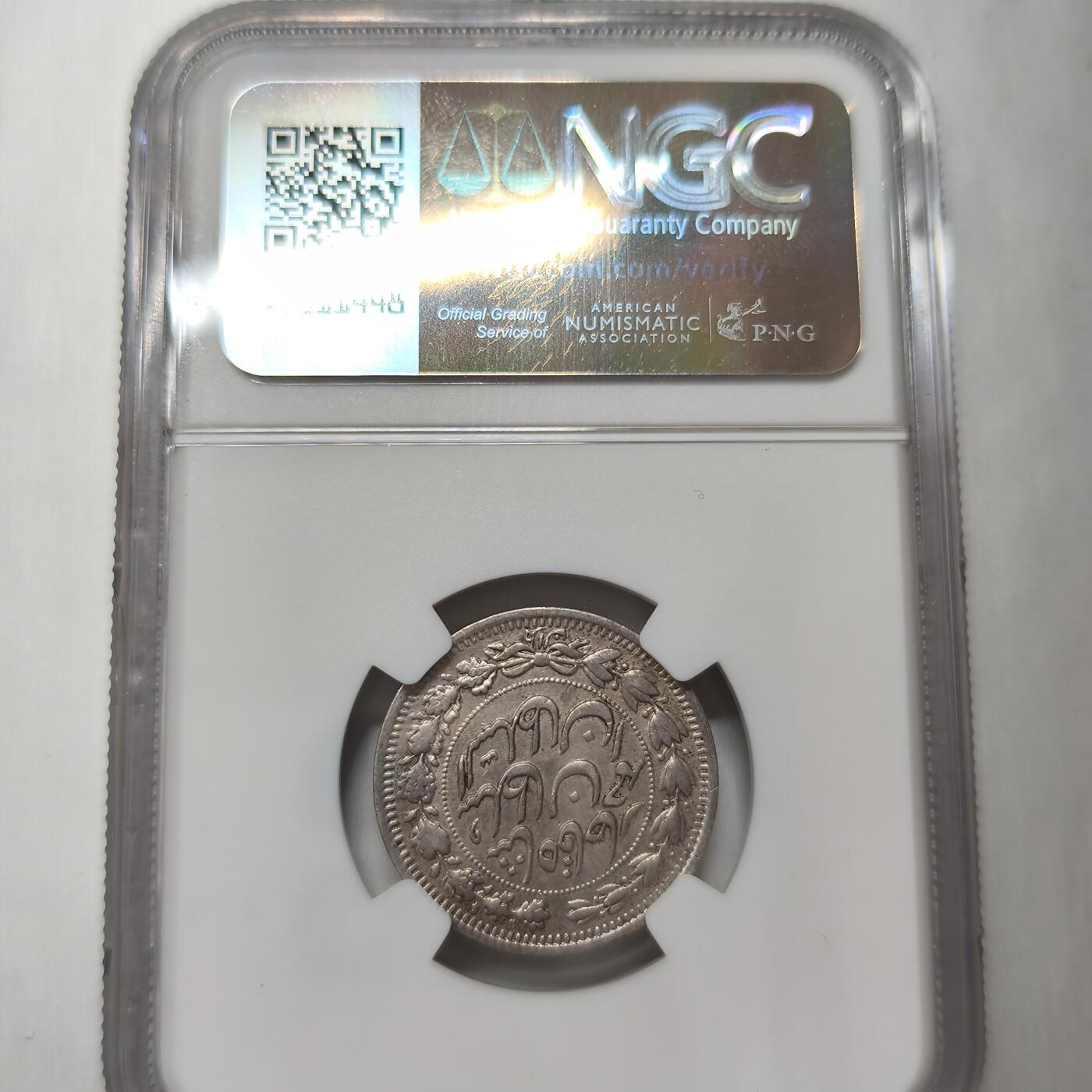 老蟹的宝藏🏴‍☠️ V