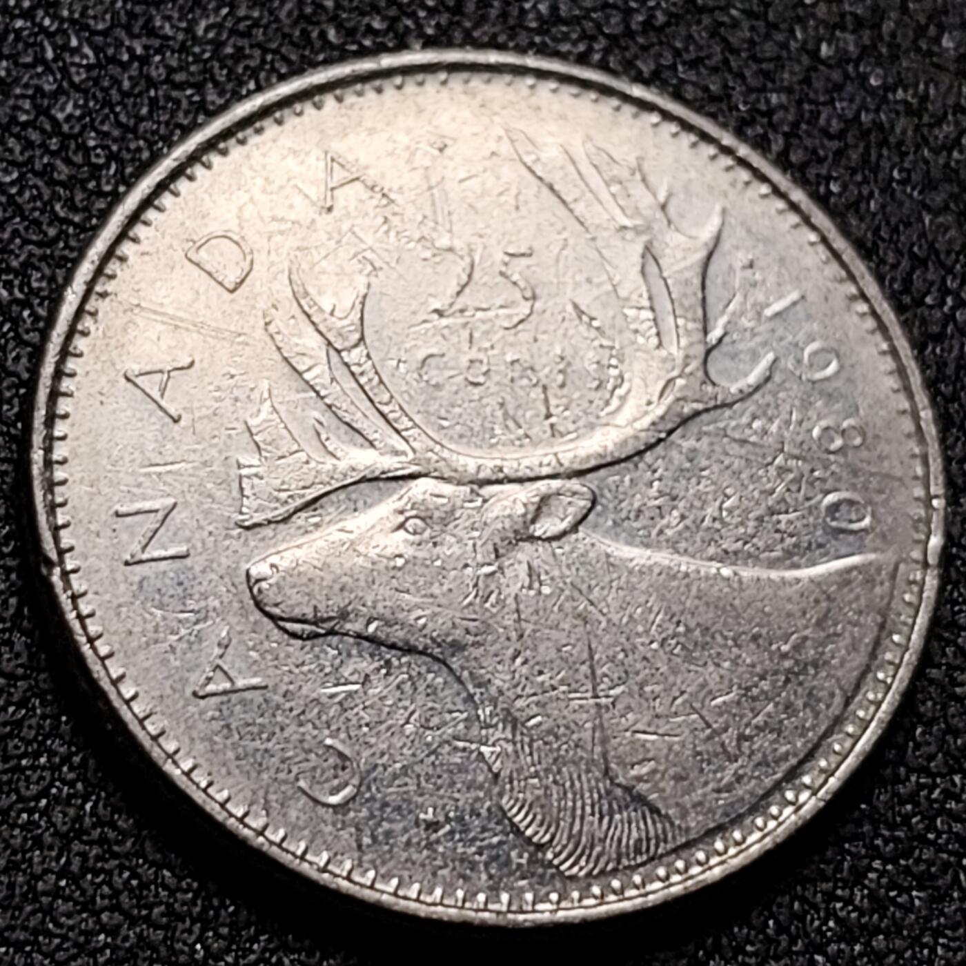 泉币菌-第148场-精品福利场 。