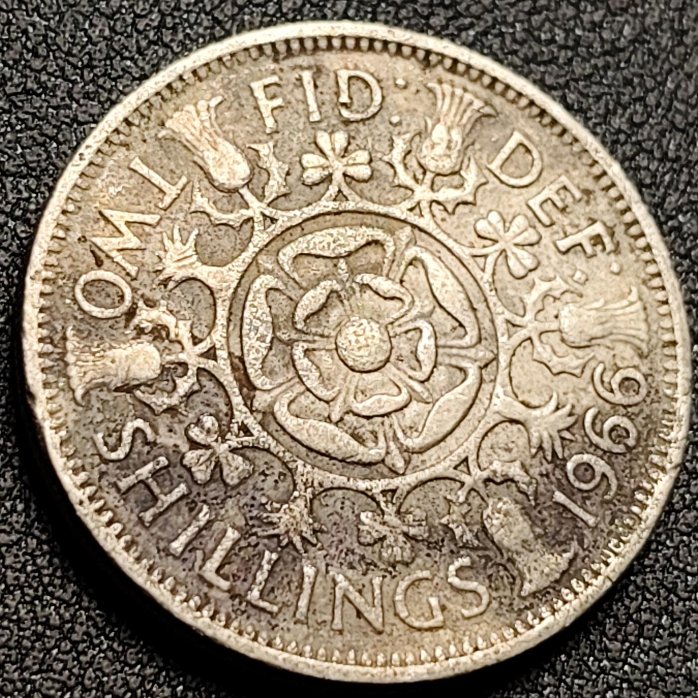 泉币菌-第148场-精品福利场 。