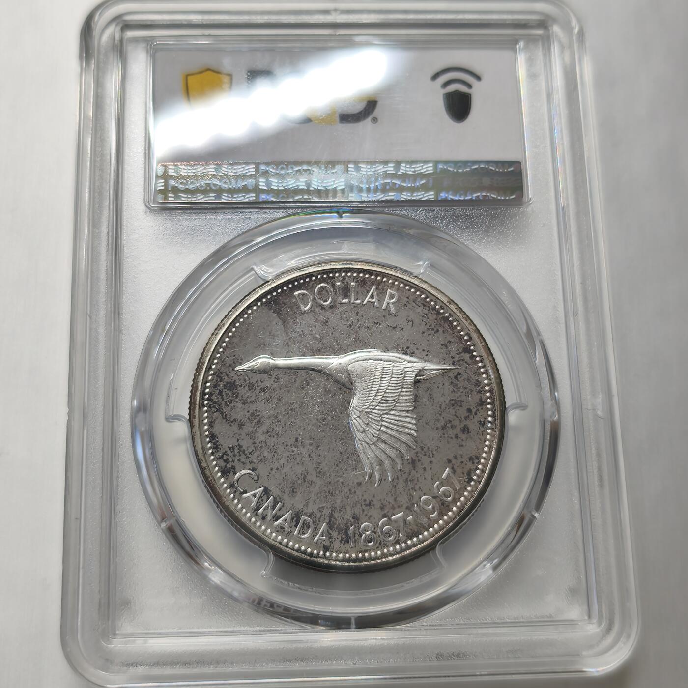 老蟹的宝藏🏴‍☠️ V