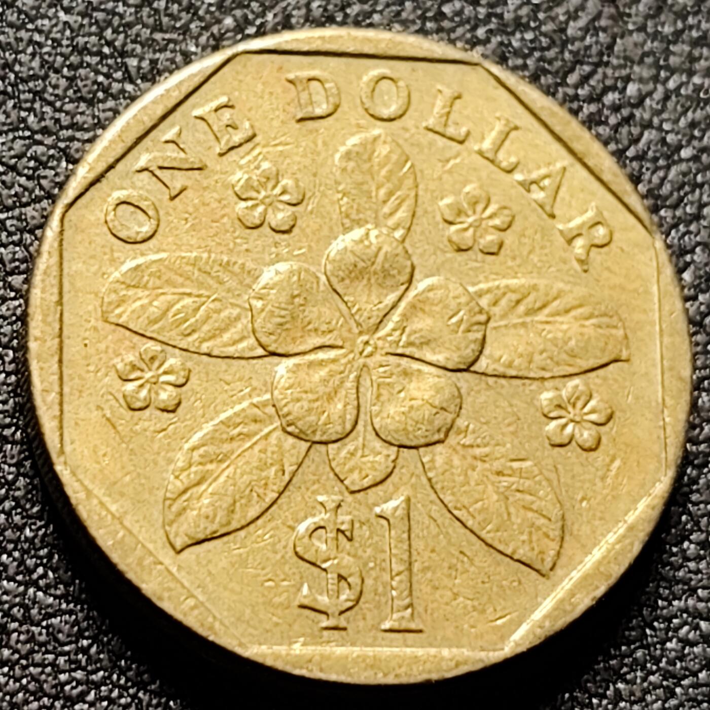 泉币菌-第148场-精品福利场 。