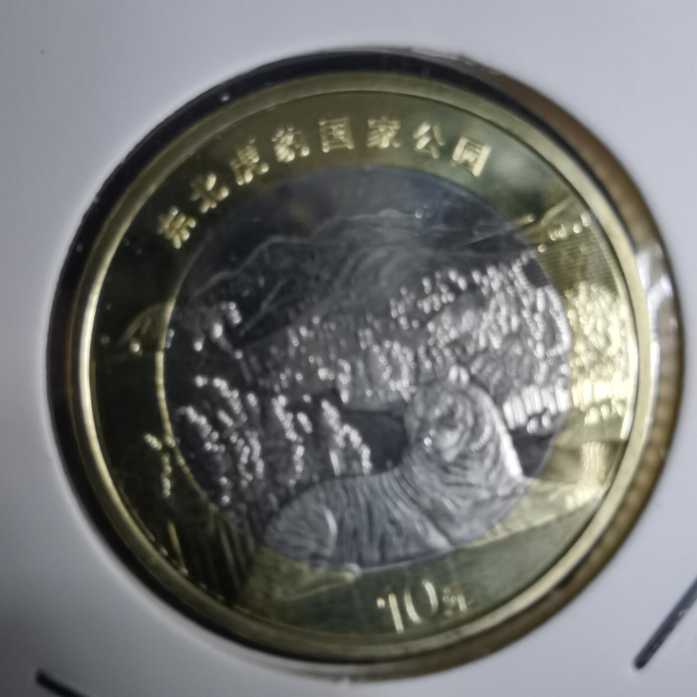 沼泽如烟--第936场 东北虎豹公园