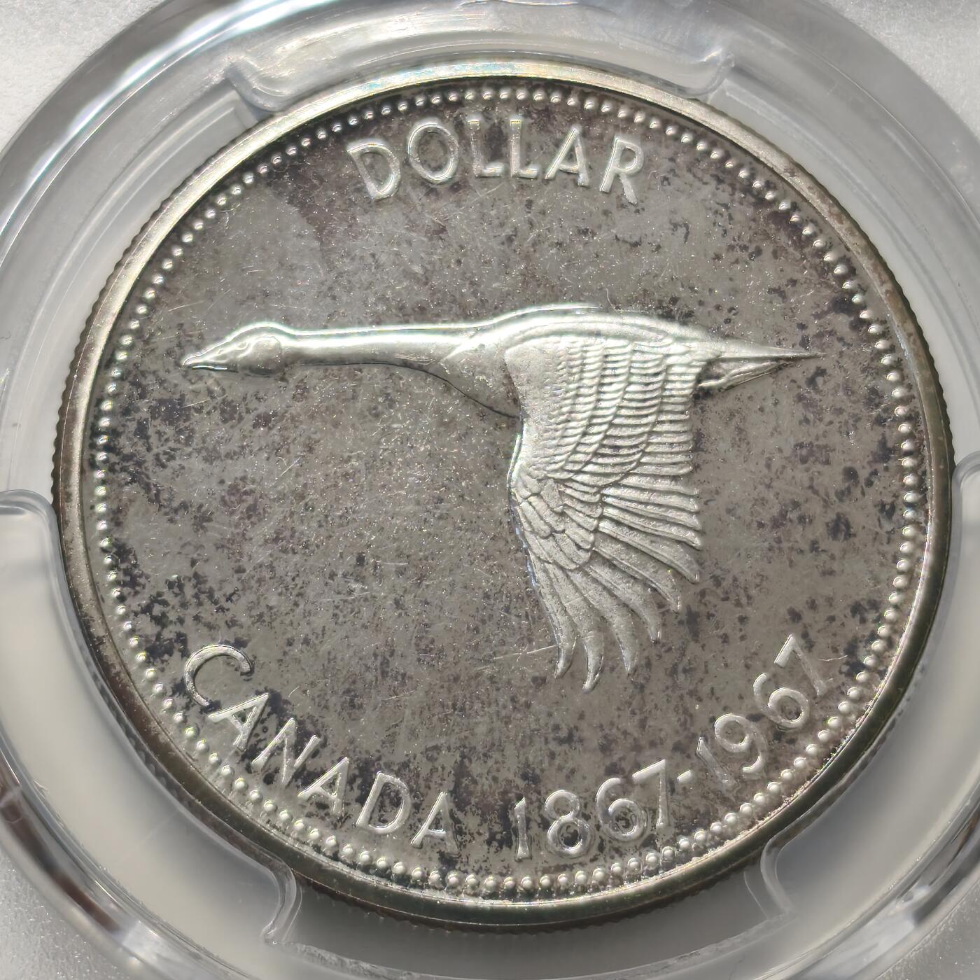 老蟹的宝藏🏴‍☠️ V