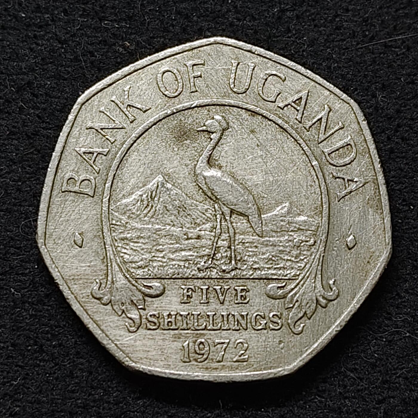 【全场包邮】纯粹捡漏拍486场（免费代拍第23场）