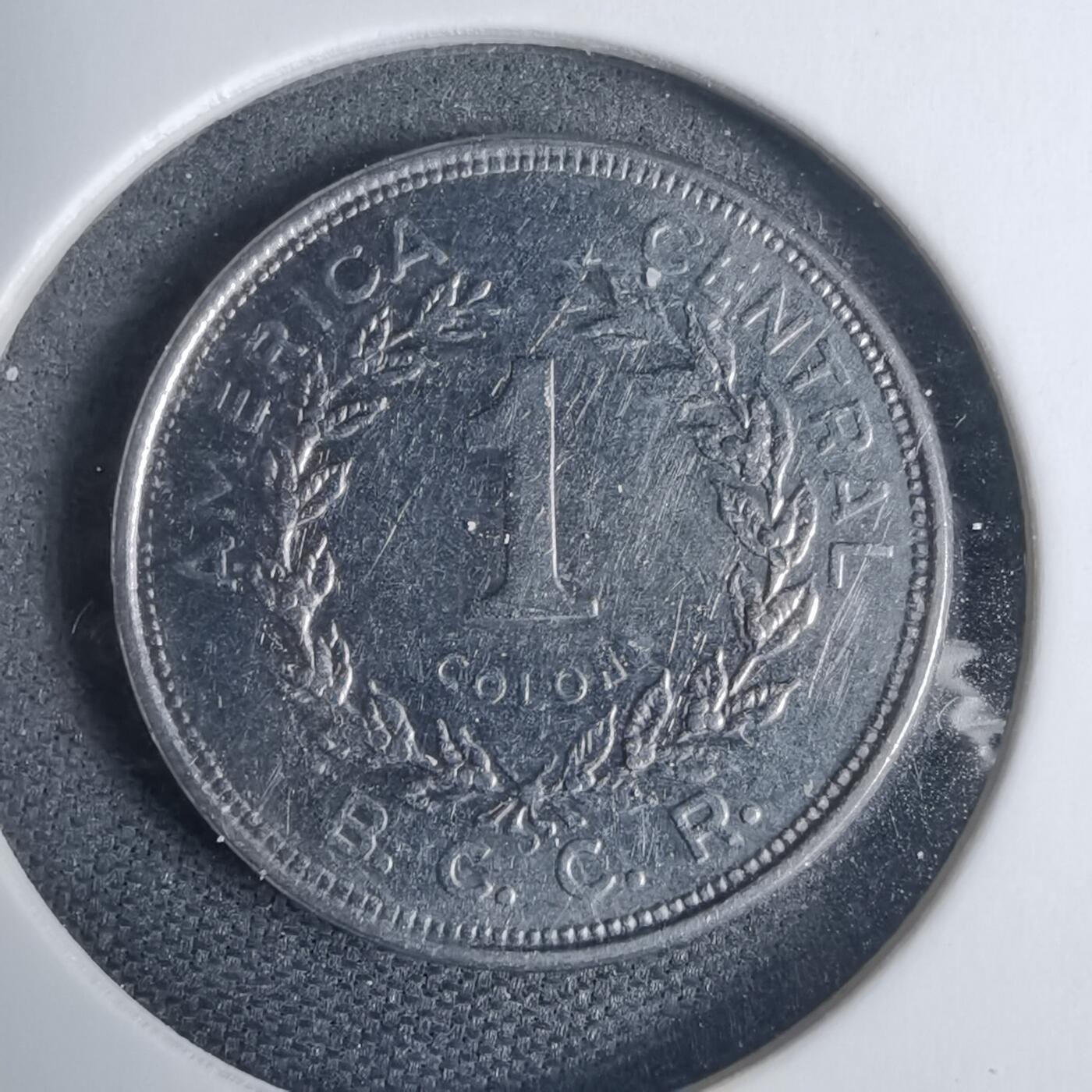 沼泽如烟--第937场