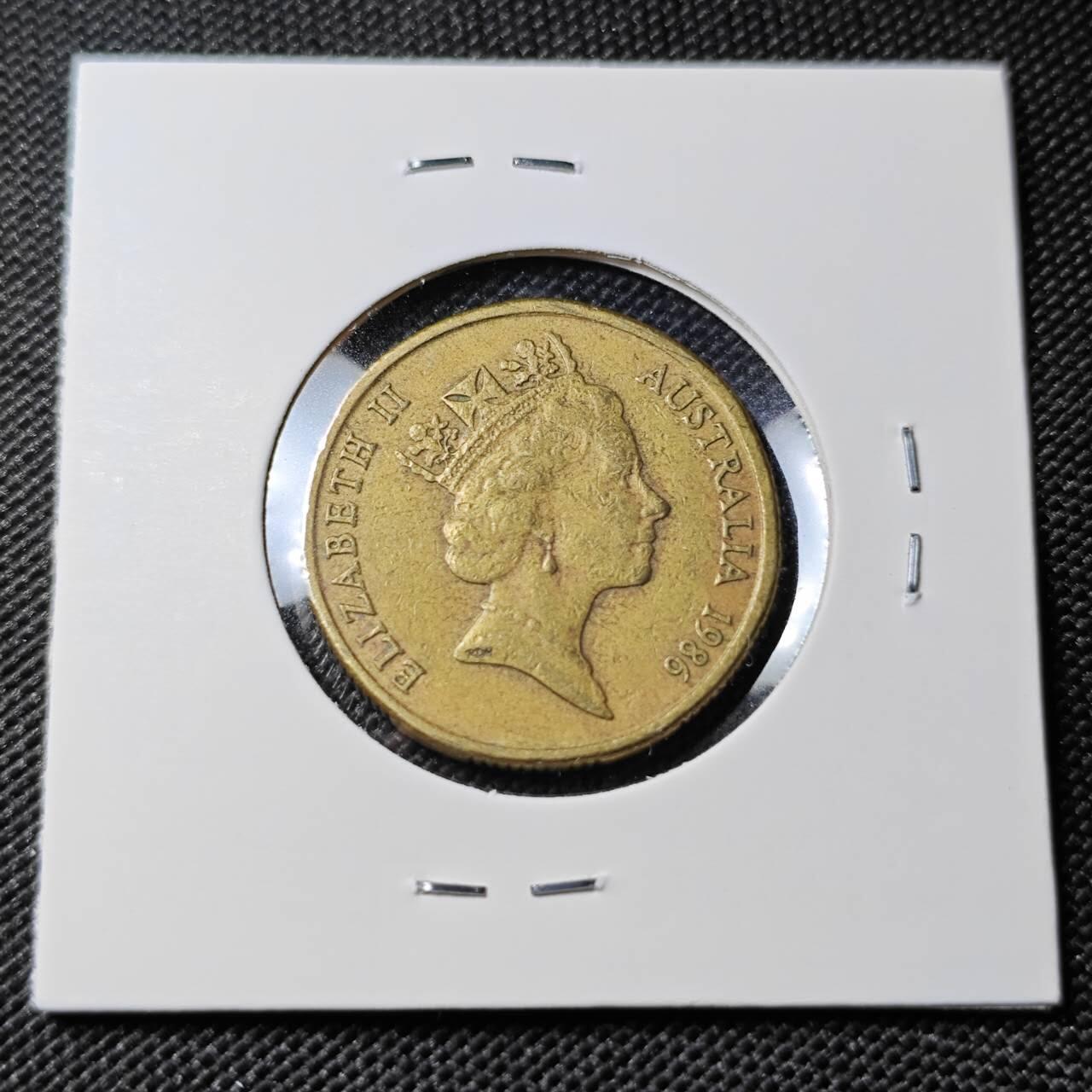 KK钱币收藏小铺 第381期  2月预留时间 周末发货