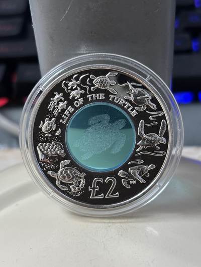 第186期拍卖 - 双获奖币英属印度洋领地2009年海龟水晶镶嵌银币，925银+水晶，23.45克，发行量5000枚，获世界最美25种钱币之一和克劳斯最佳创意币大奖！