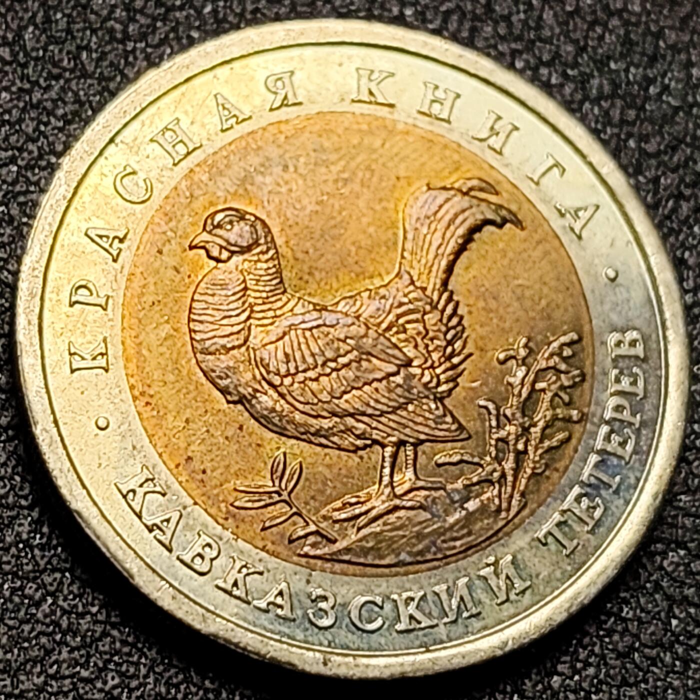 泉币菌-第148场-精品福利场 。