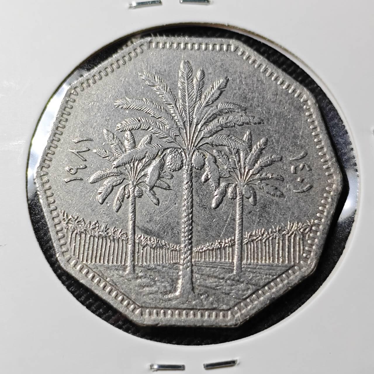 KK钱币收藏小铺 第381期  2月预留时间 周末发货