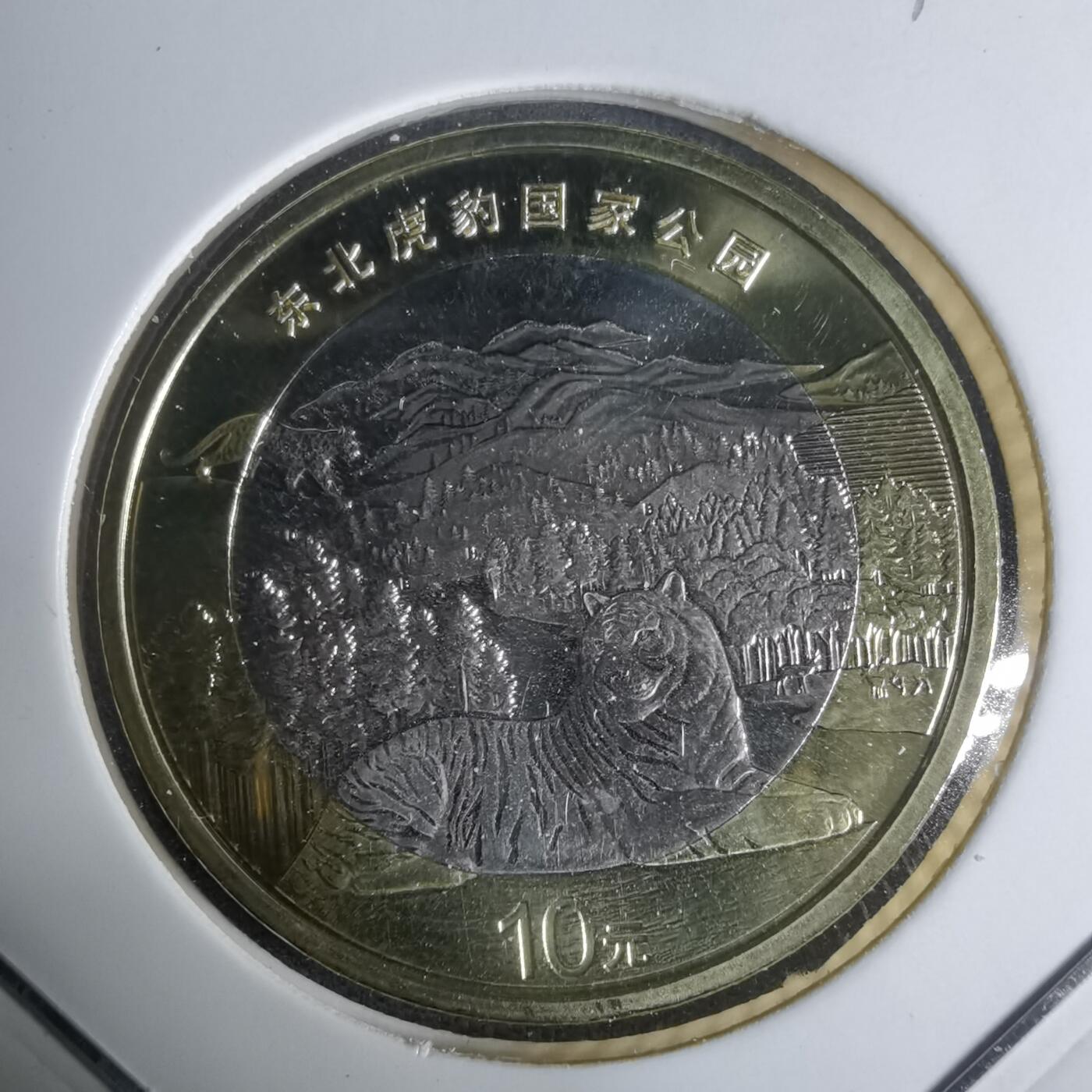 沼泽如烟--第936场 东北虎豹公园