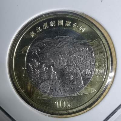 沼泽如烟--第936场 - 东北虎豹公园