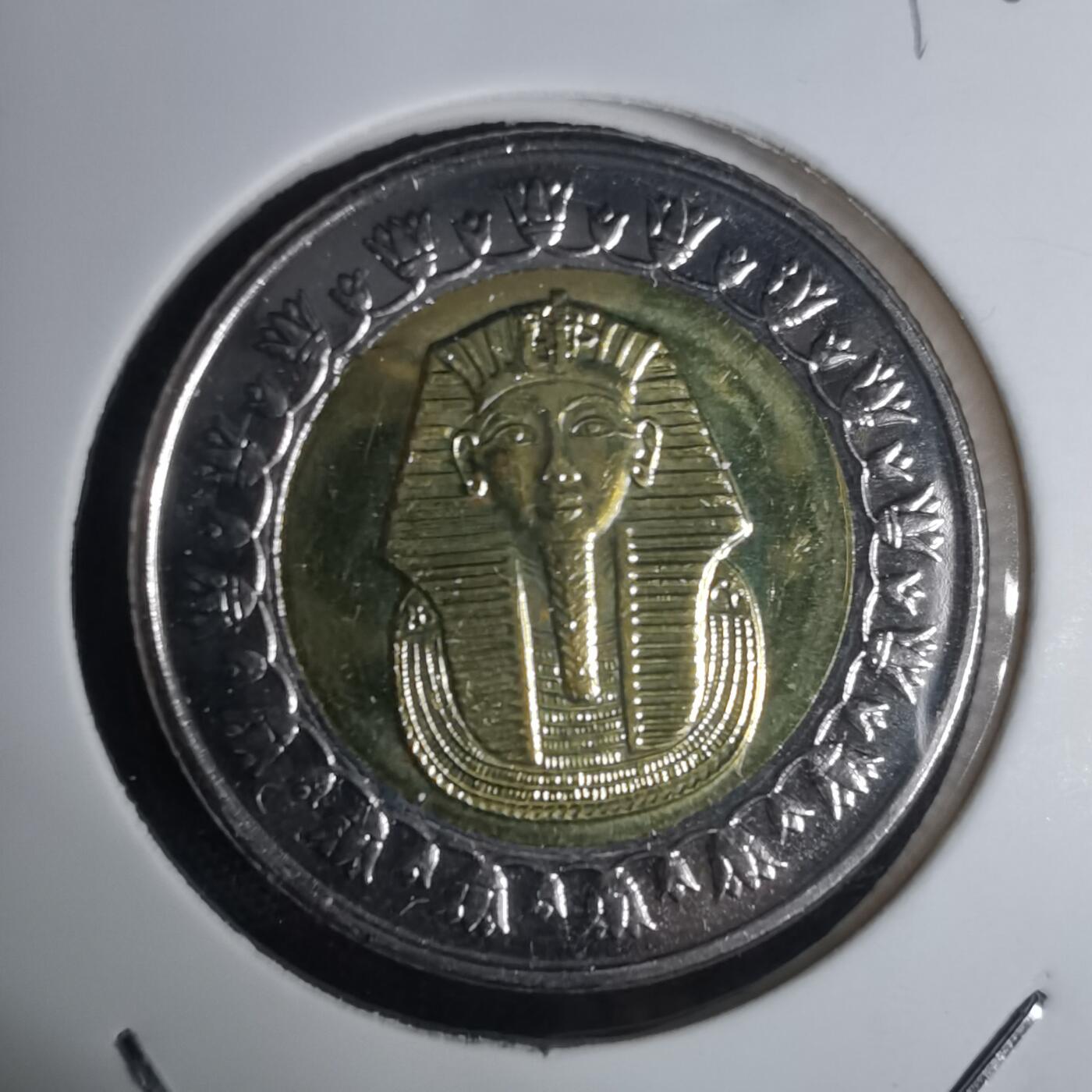 沼泽如烟--第936场 埃及