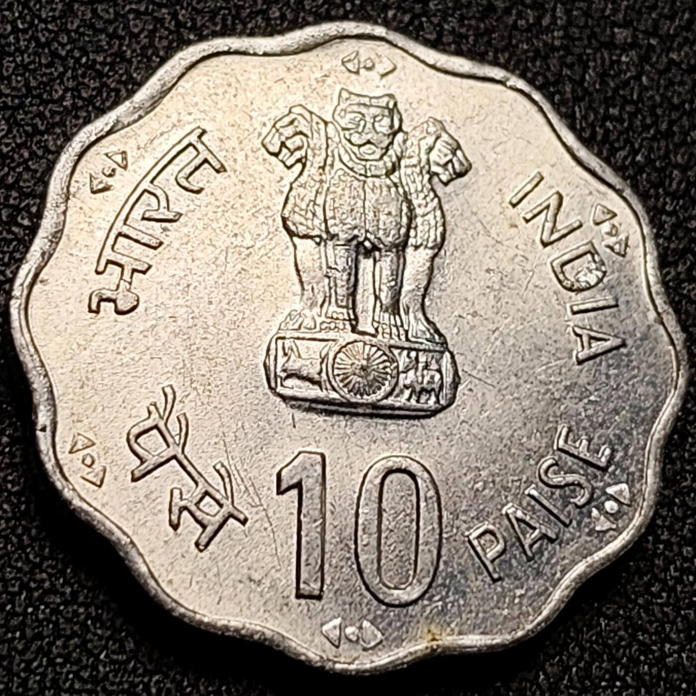 泉币菌-第148场-精品福利场 。