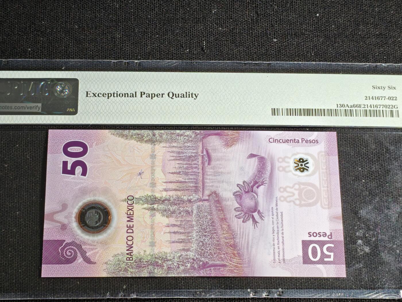 刘世昌艺术品销售中心～虎踞龙蟠*金杨在线联拍群第512期 墨西哥2021年50比索（PMG   66E   号码：AA 5998885）1枚。此币荣获当年IBNS世界纸币大奖赛“最佳纸币”大奖。